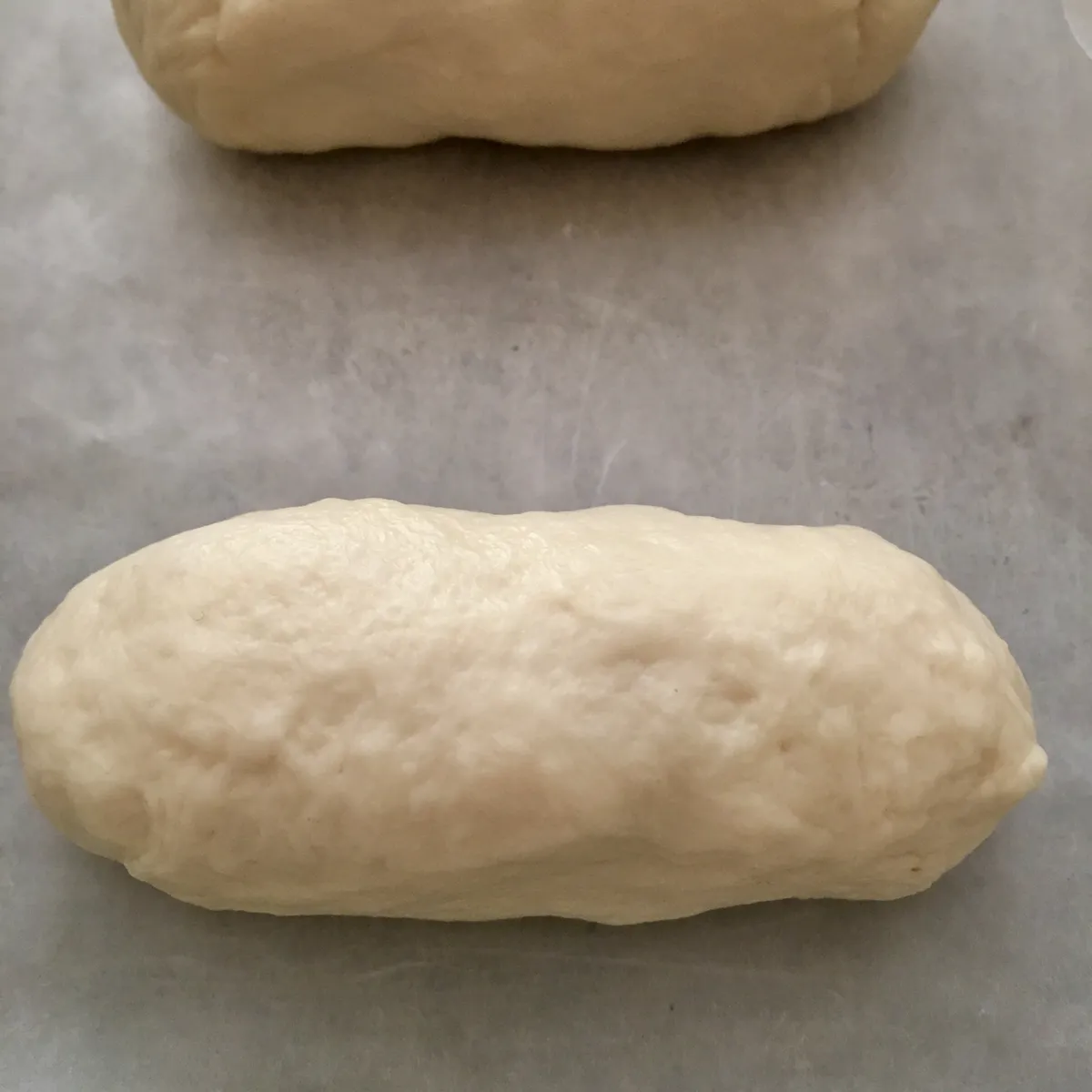 Step 11 image 1
