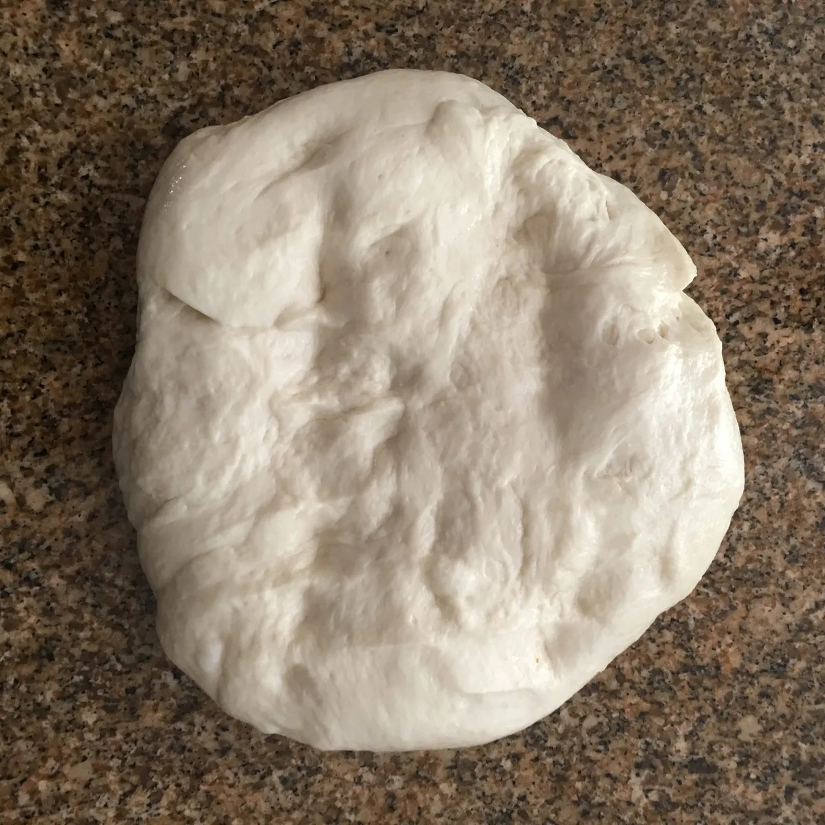Step 8 image 1