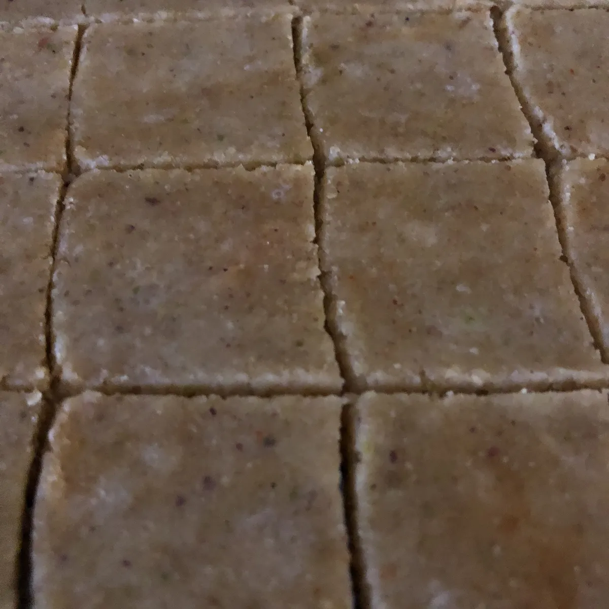 Step 8 image 4