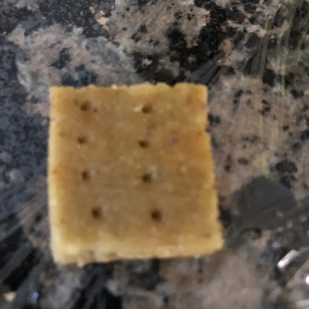 Step 9 image 1