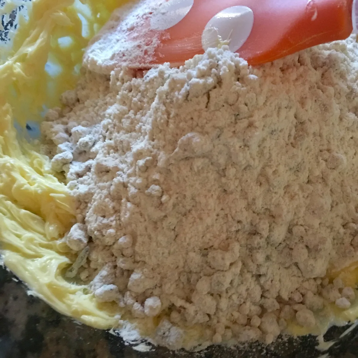 Step 9 image 1