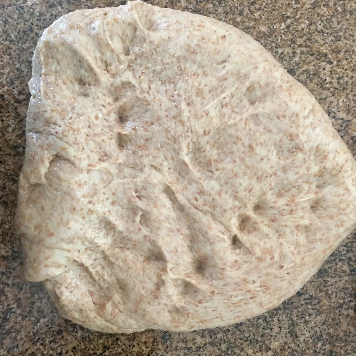 Step 10 image 1