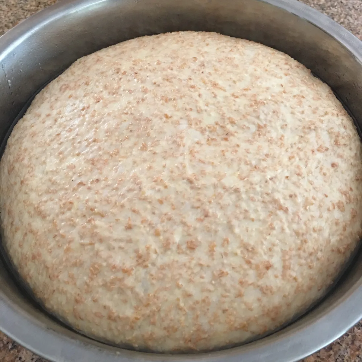 Step 9 image 1