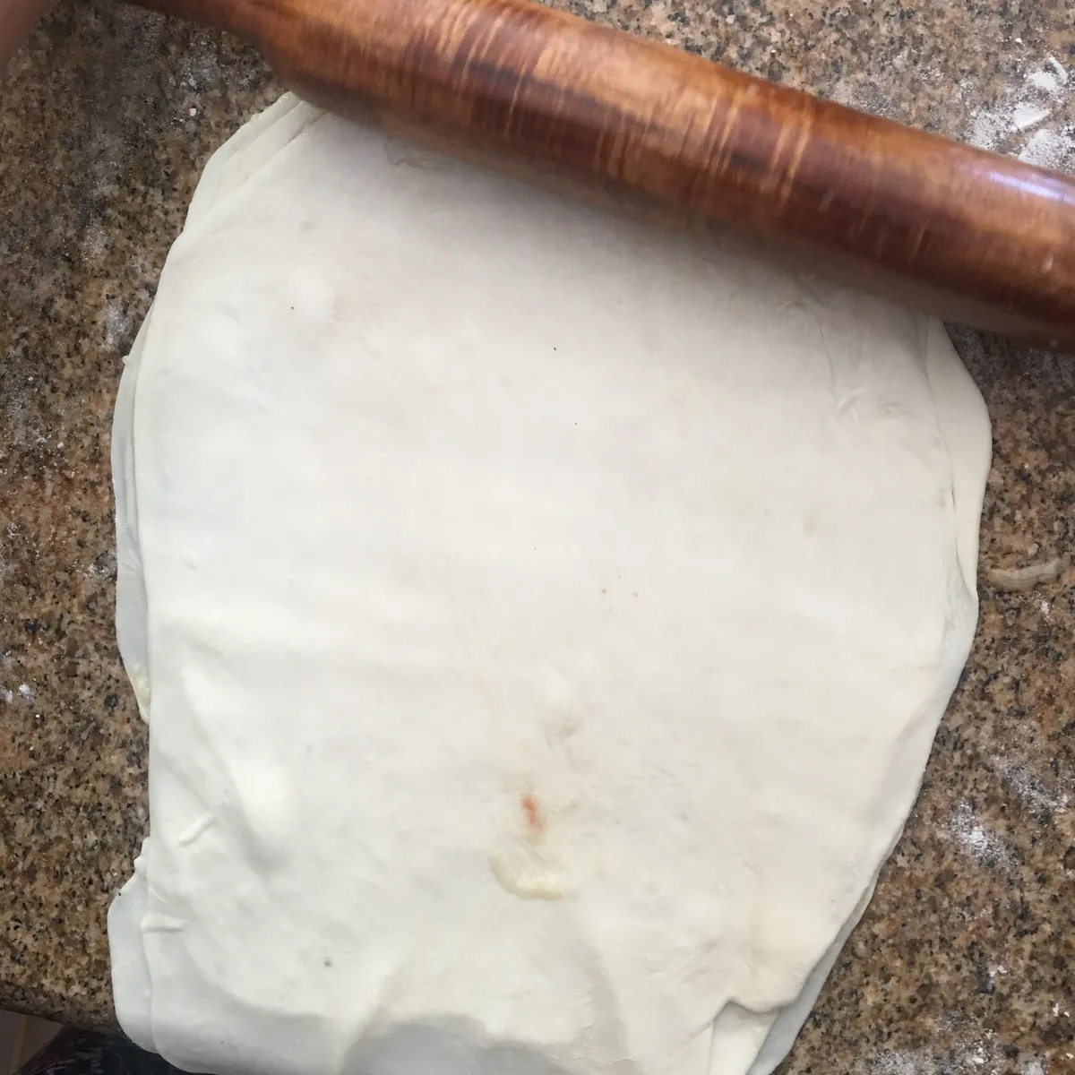 Step 19 image 1