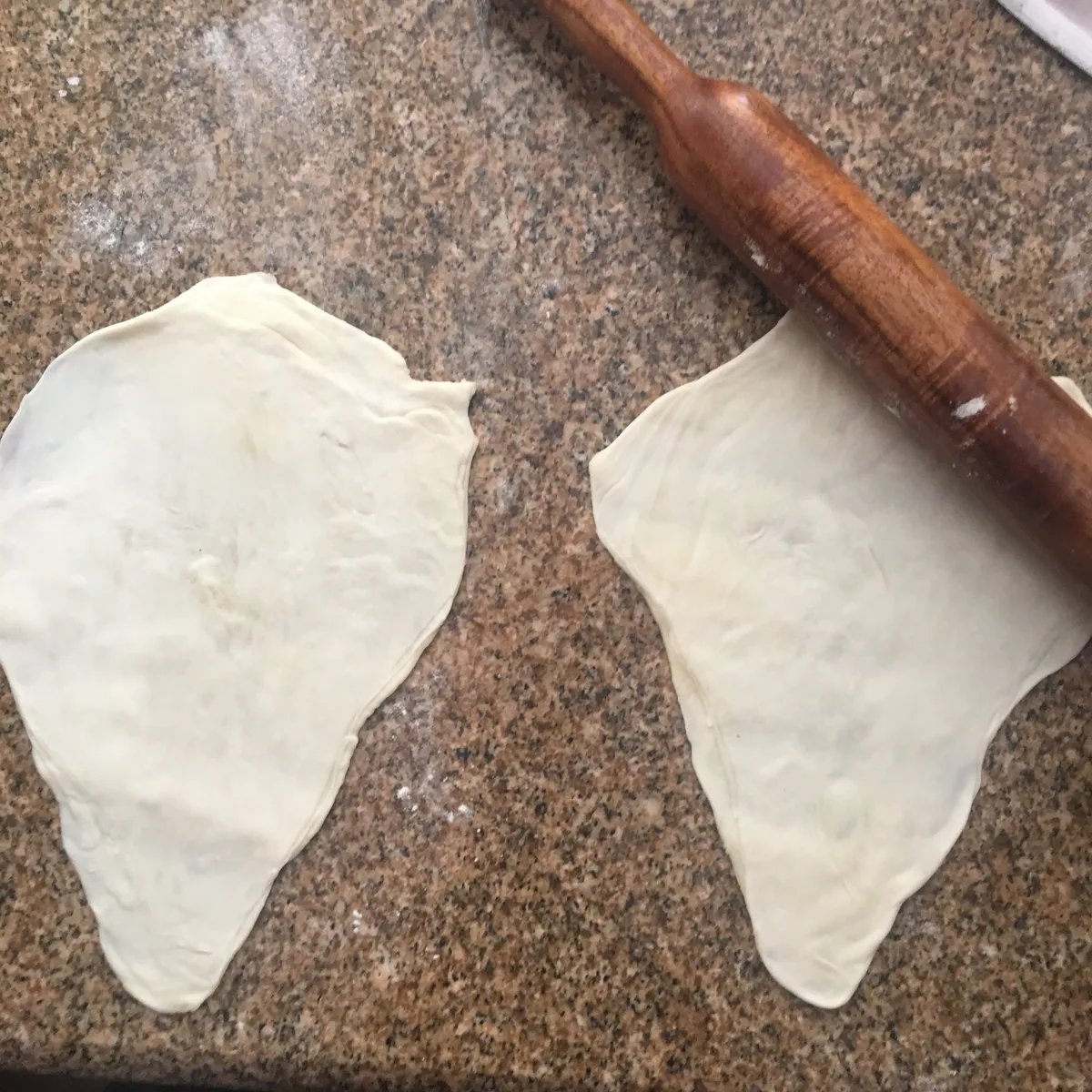 Step 21 image 1