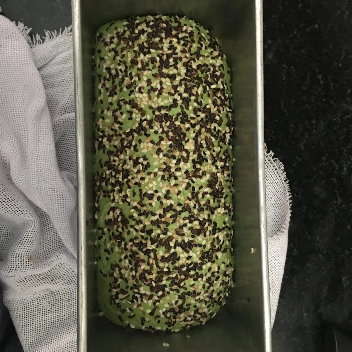 Step 19 image 1