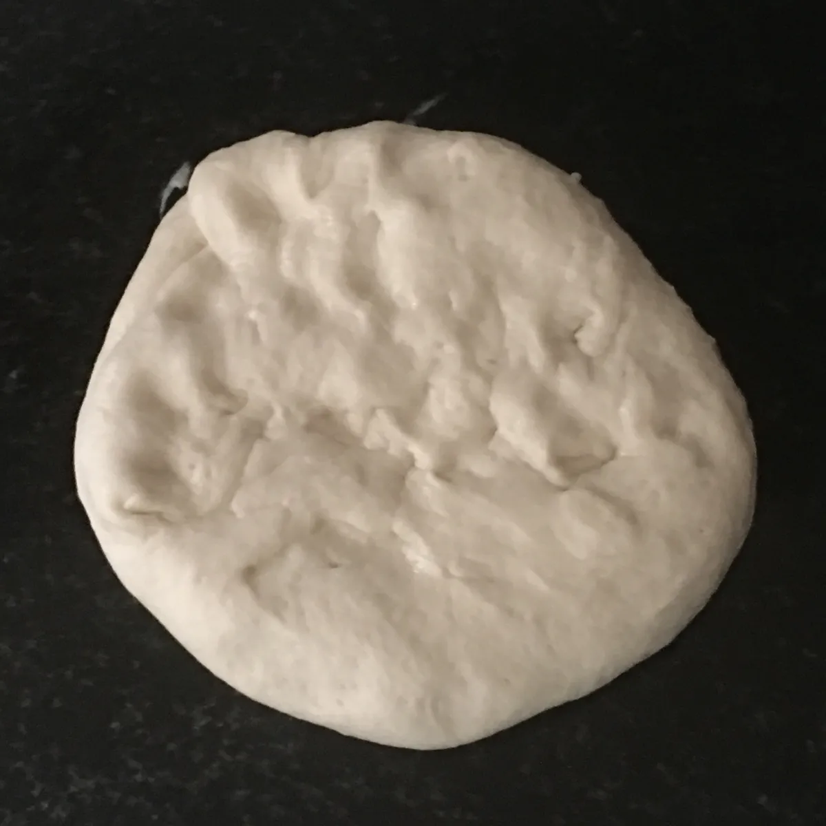 Step 10 image 1
