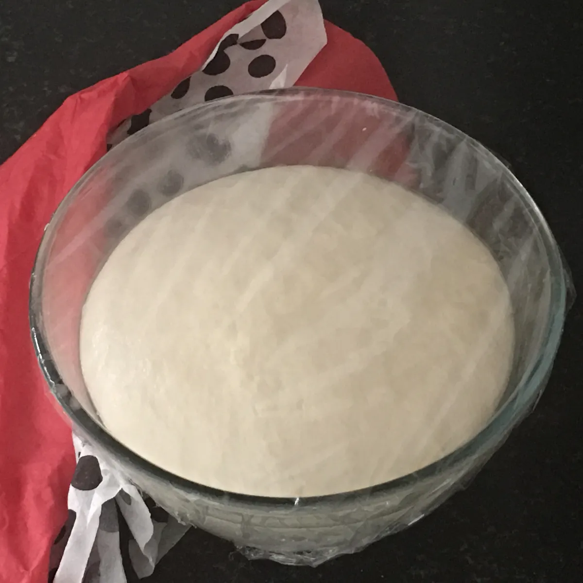 Step 9 image 1