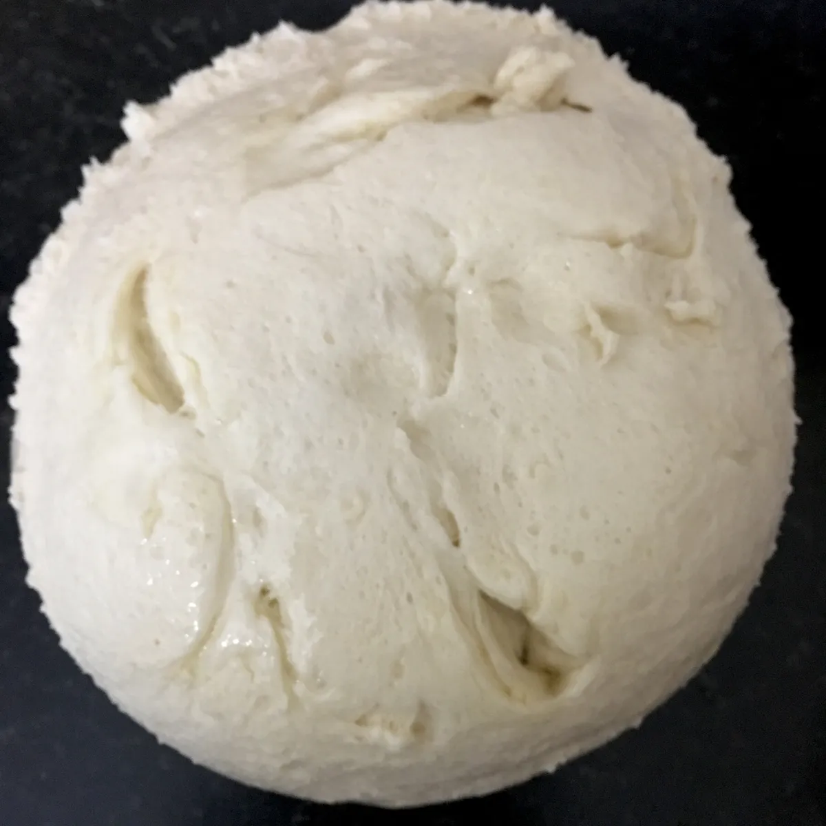 Step 12 image 1