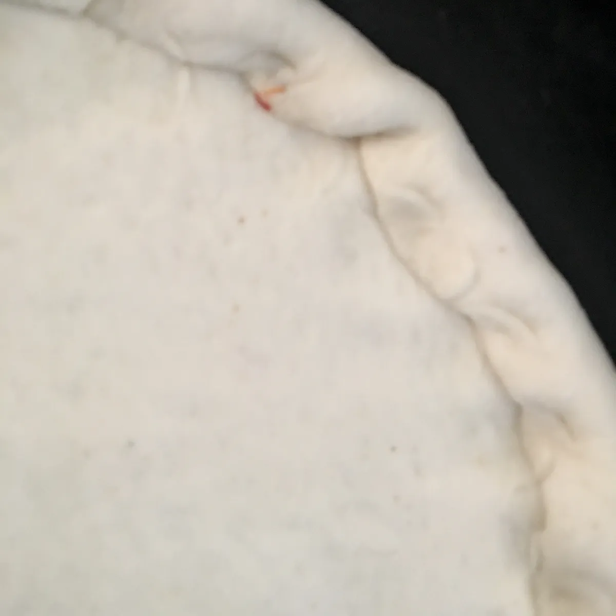 Step 16 image 2