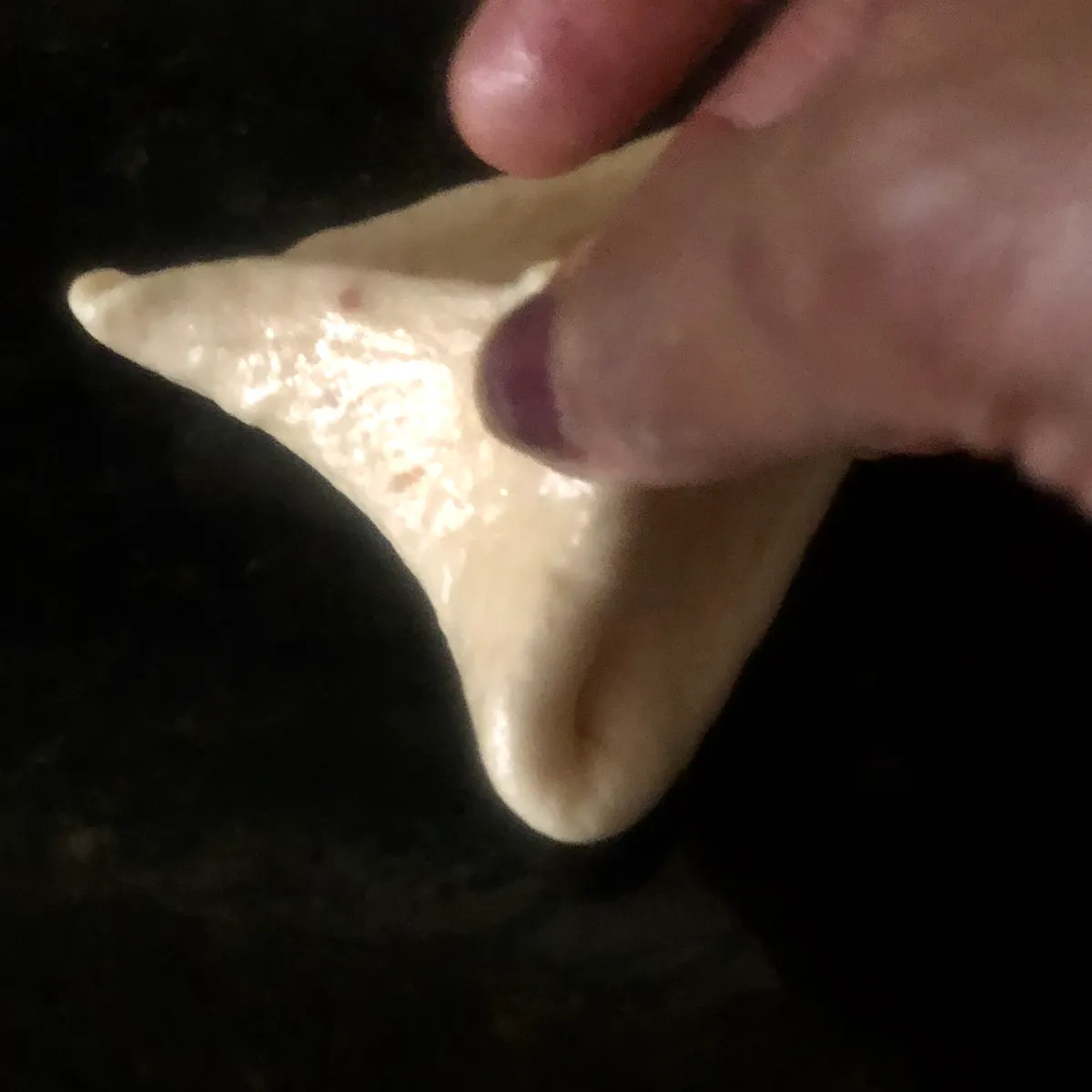 Step 14 image 3
