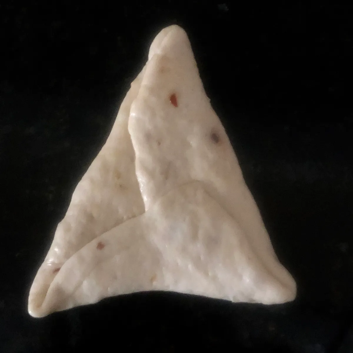 Step 14 image 4