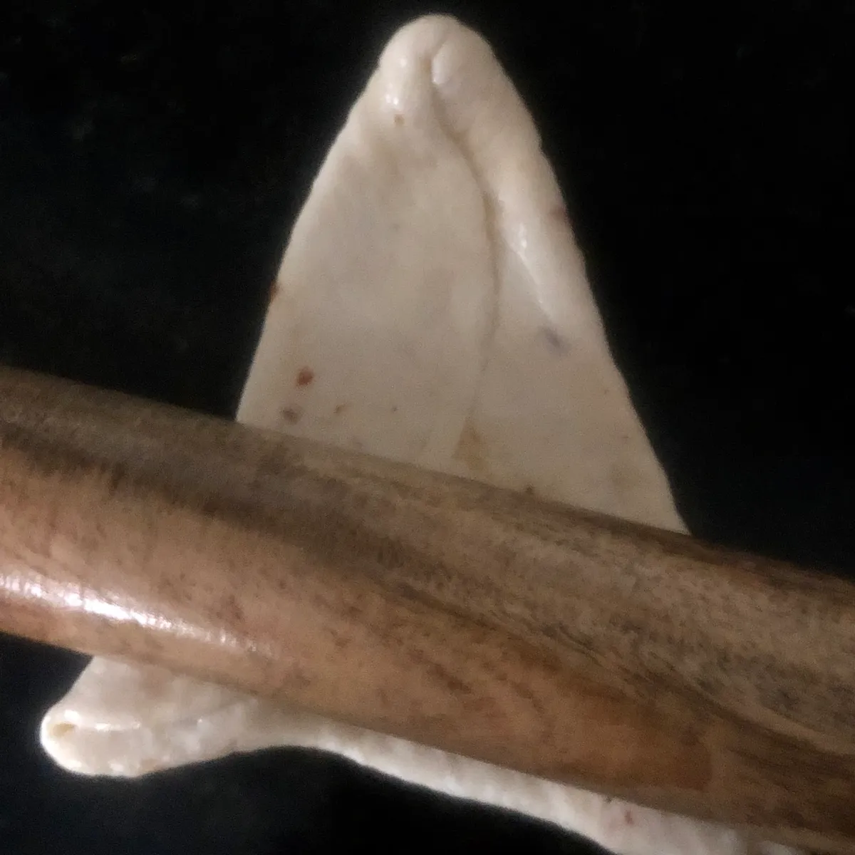 Step 15 image 1