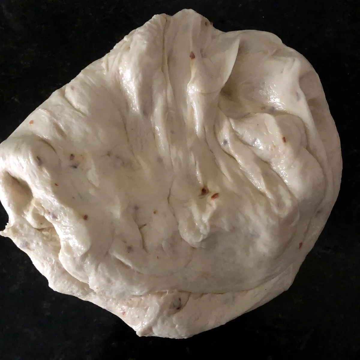 Step 8 image 1