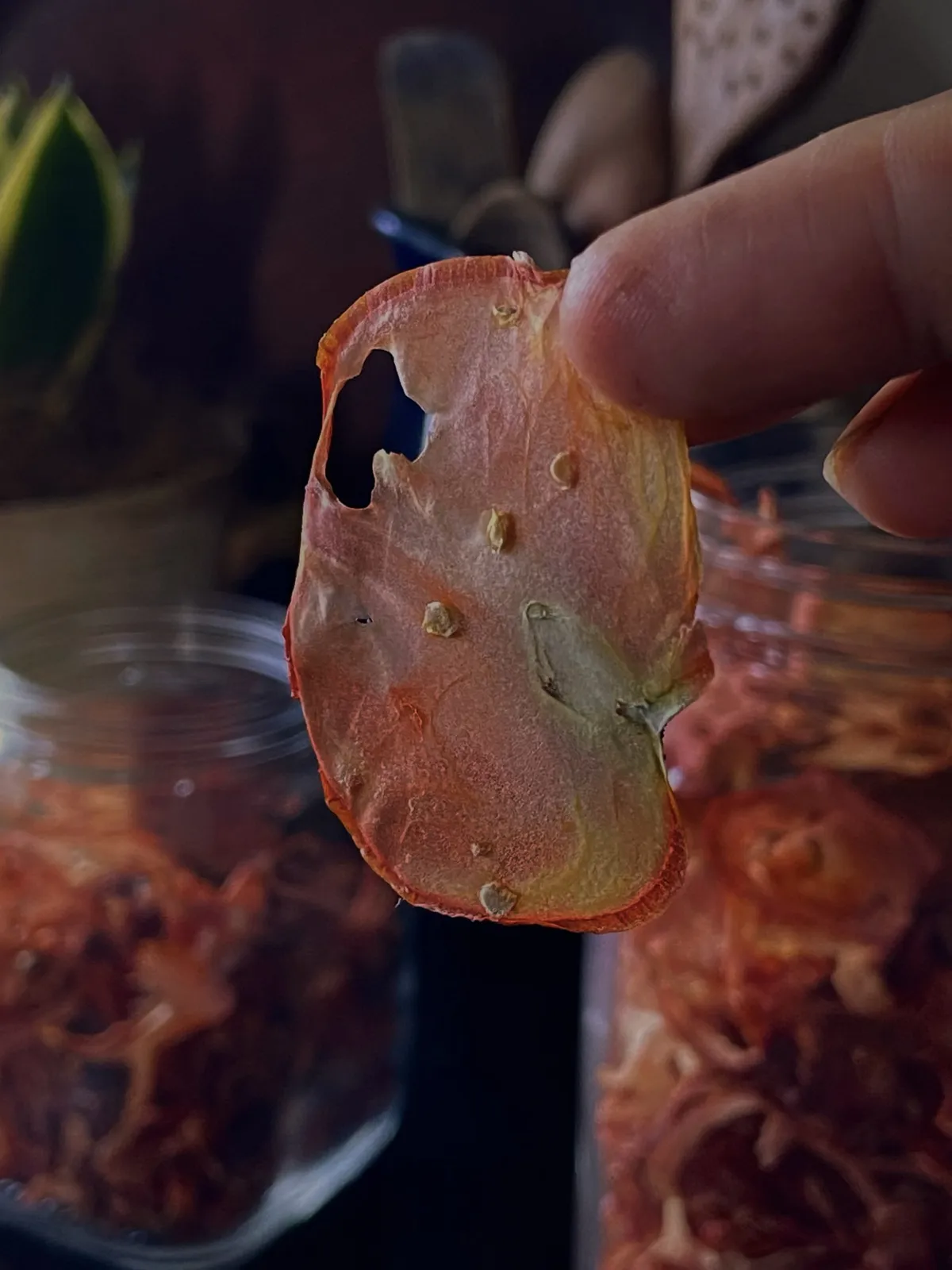 Sundried Tomato Slices