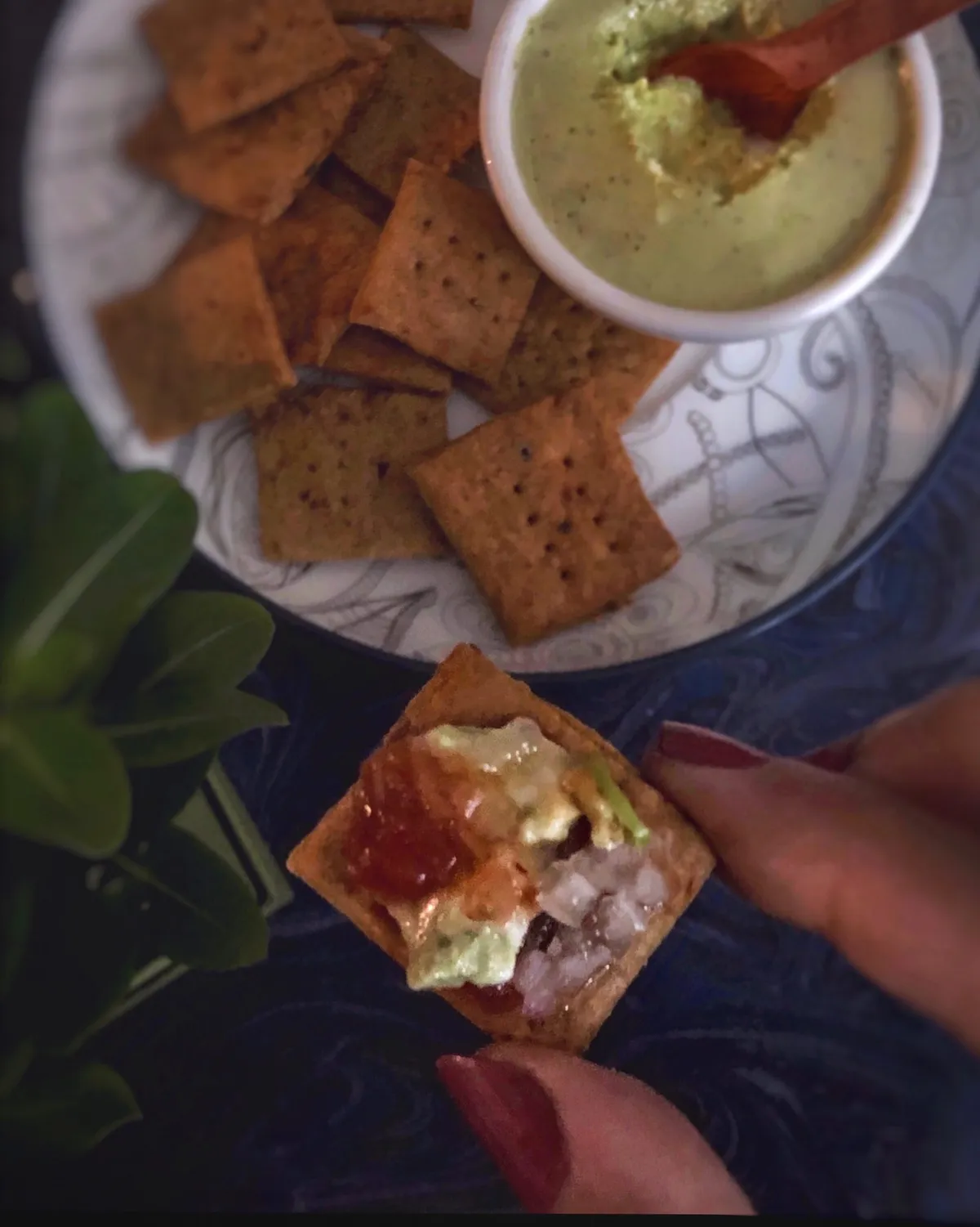 Tomato Garlic Crackers